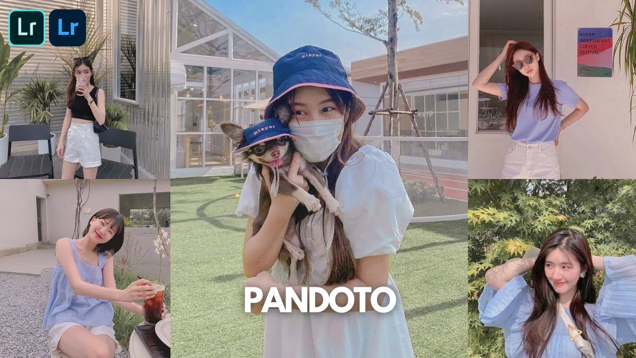 Pandoto Preset | Free Lightroom Mobile Light Pastel Tone Preset Free Download dng xmp
