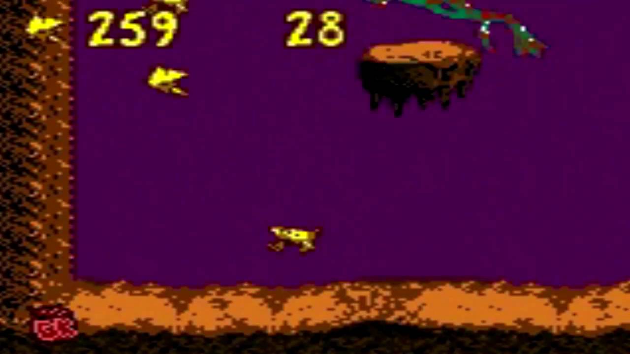 Donkey Kong Country [GBC] - Winky Bonus