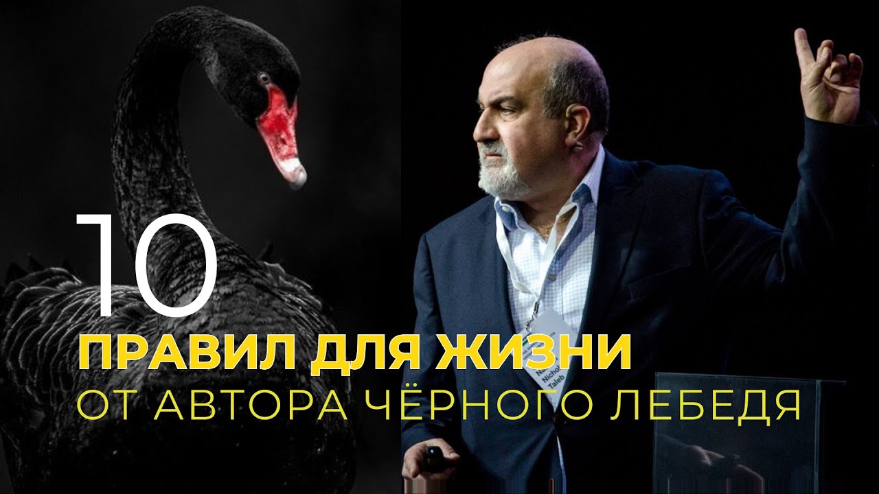Нассим Талеб | Черный лебедь | Как жить стабильной жизнью и 10 правил для жизни