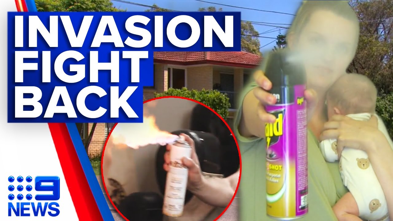 Queensland mum scares off three armed intruders with bug spray | 9 News Australia