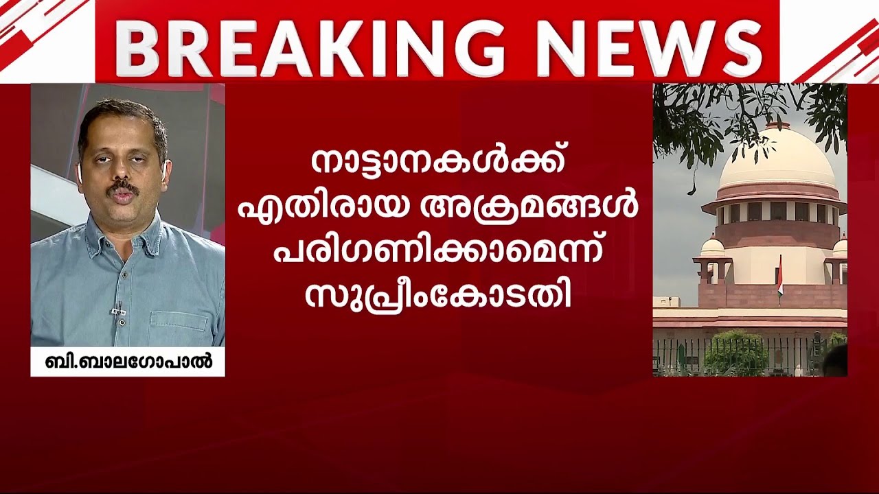 'ആനകളെ ഉത്സവങ്ങൾക്ക് ഉപയോഗിക്കുന്നത് തടയണം'; ആവശ്യത്തിൽ ഇടപെടാൻ വിസമ്മതിച്ച് സുപ്രീംകോടതി