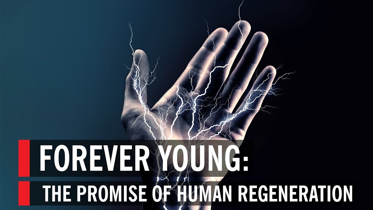 Forever Young: The Promise of Human Regeneration