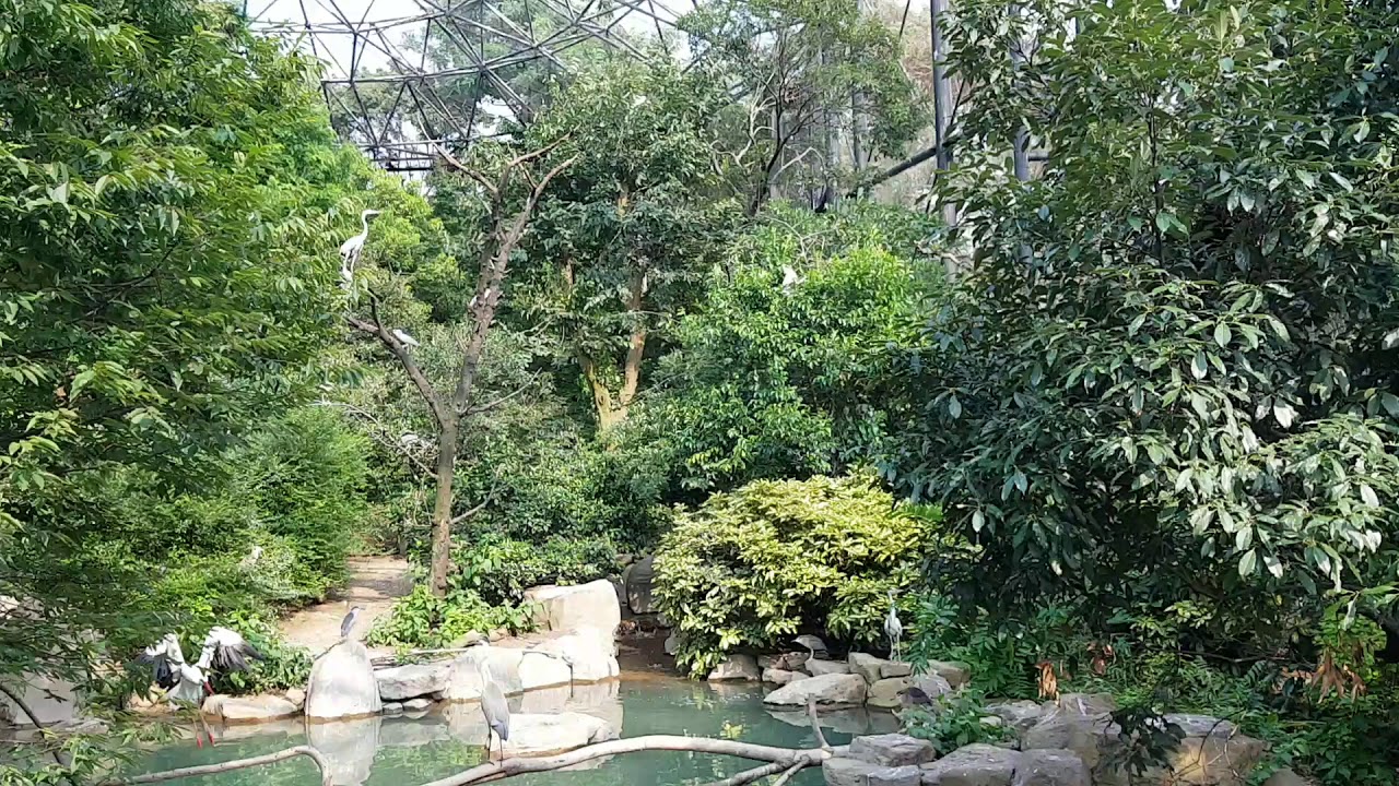 Incredibly Large Walk-in Bird Aviary at Osaka Tennoji Zoo in Japan