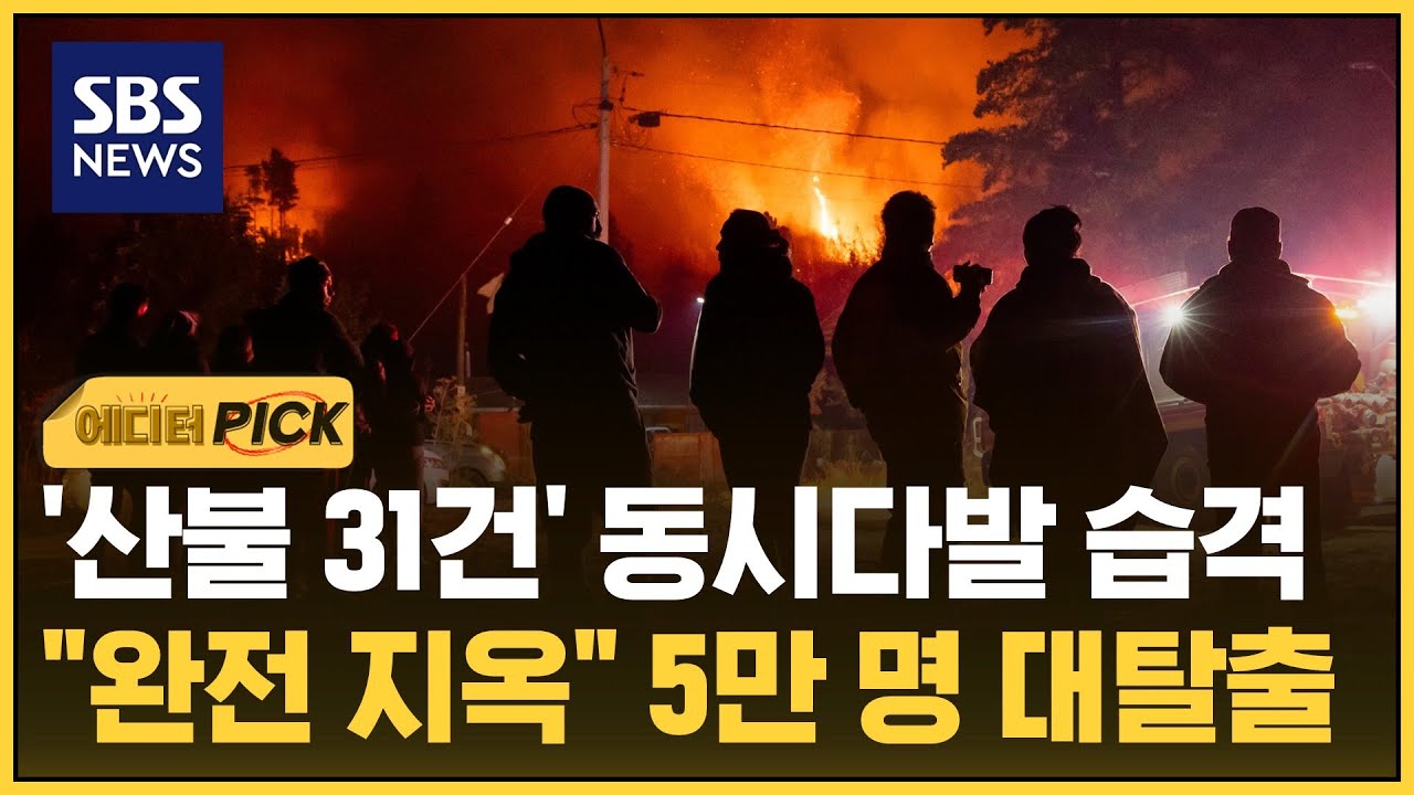 '산불 31건' 동시다발 습격…