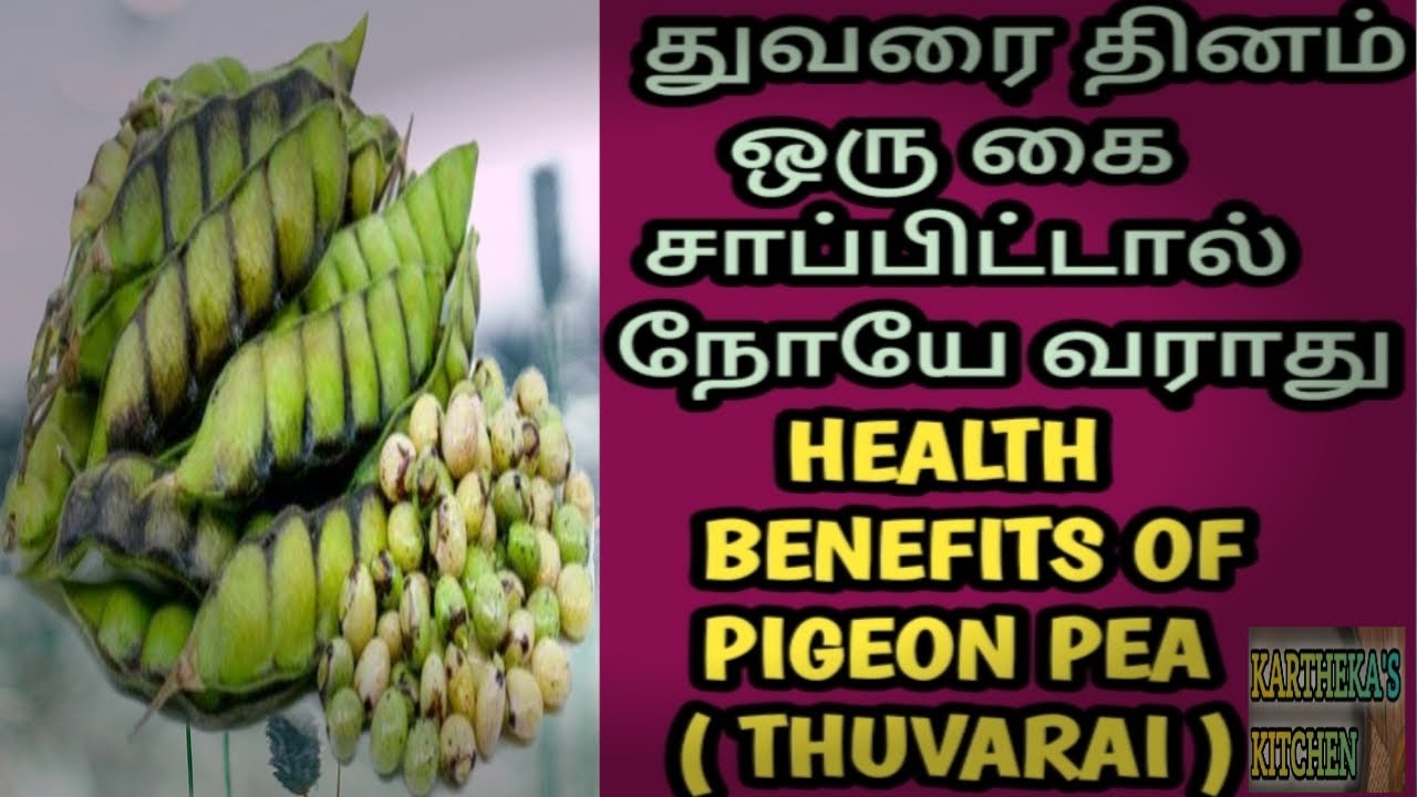 ||Thuvarai _benefits||துவரை பற்றிய பயனுள்ள தகவல்கள் 😍|Health benefits of Pigeon Peas||😍