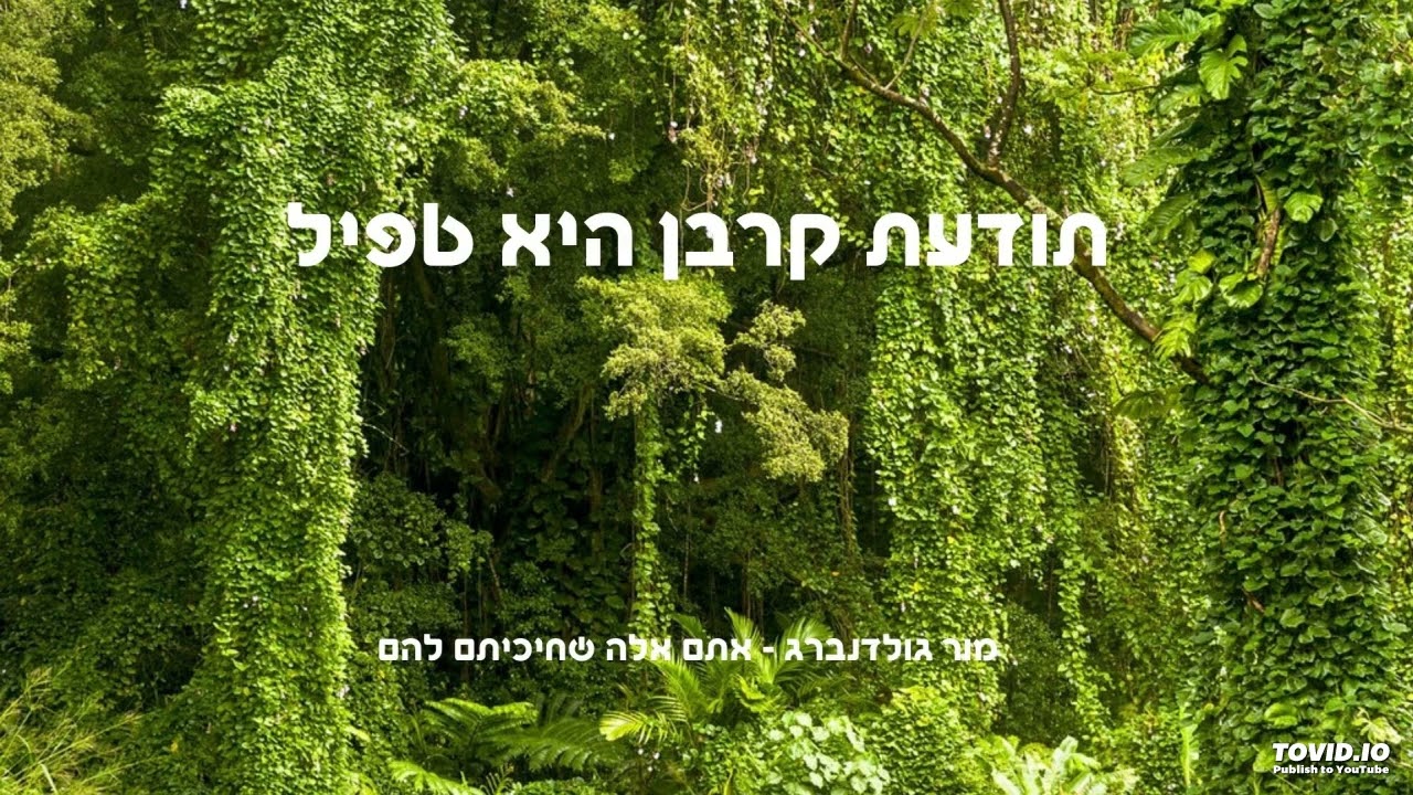 תודעת קרבן היא טפיל