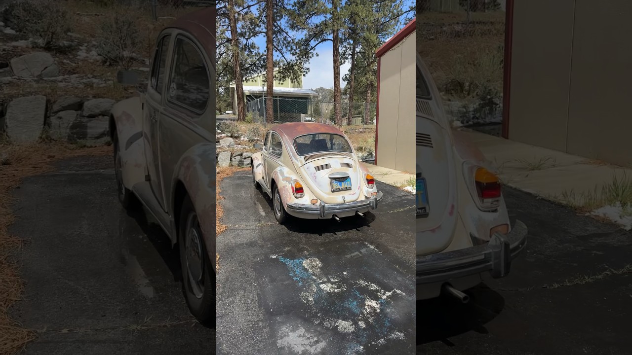 1970 Volkswagen Beetle 1600cc #volkswagen #beetle