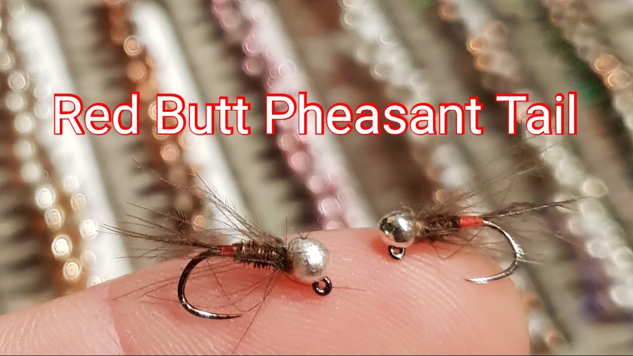 Red Butt Pheasant Tail