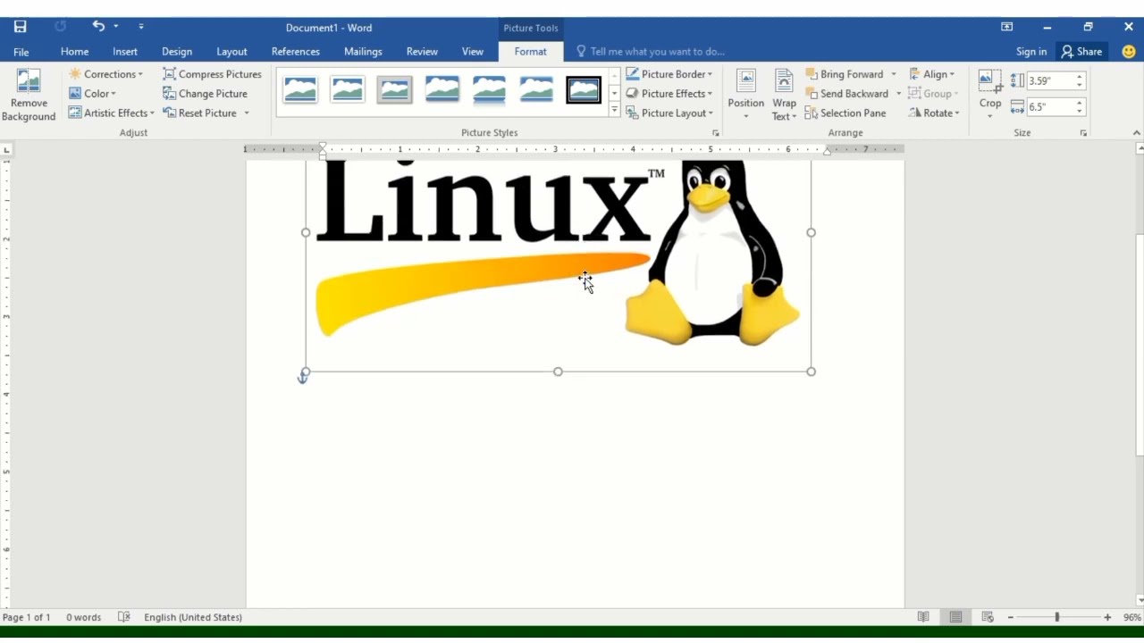 How to use picture option in Ms word 2019 /