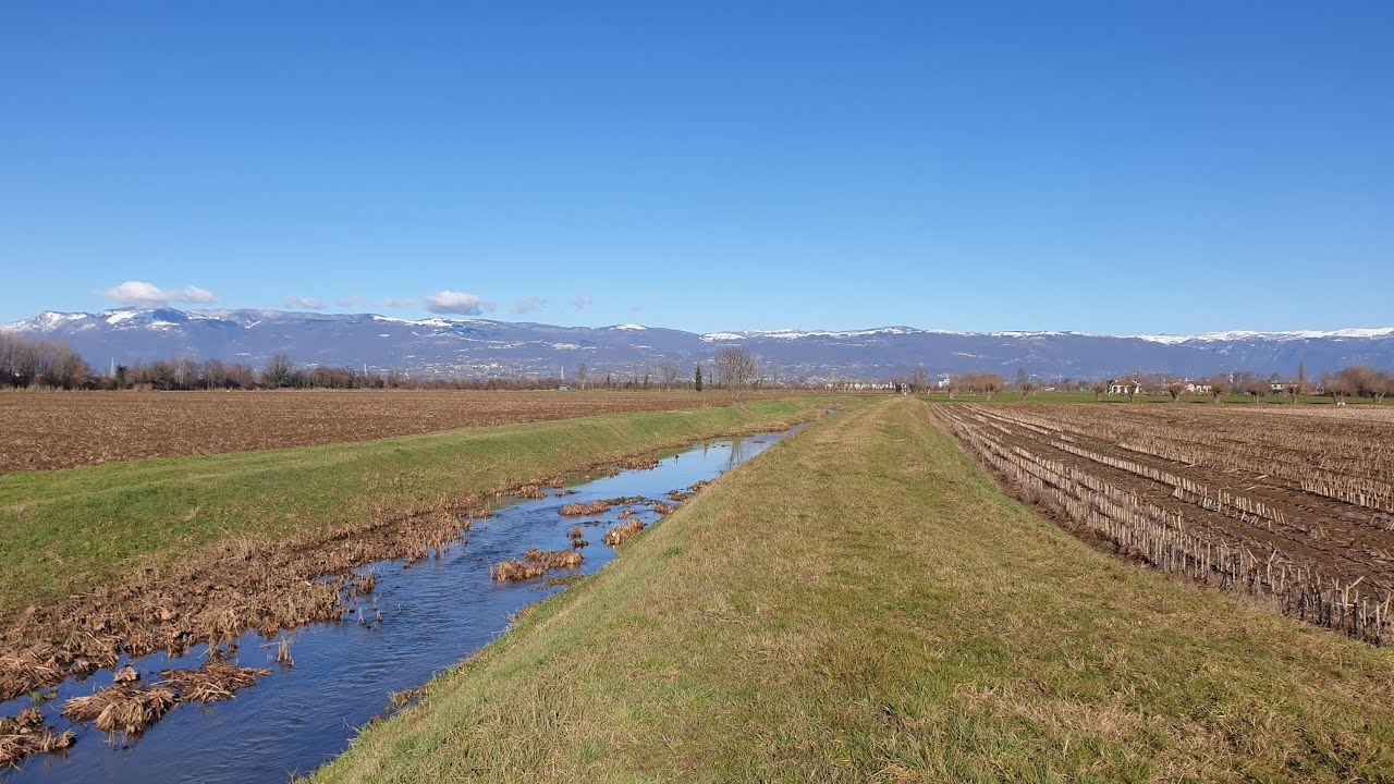 Le Risorgive di Bressanvido