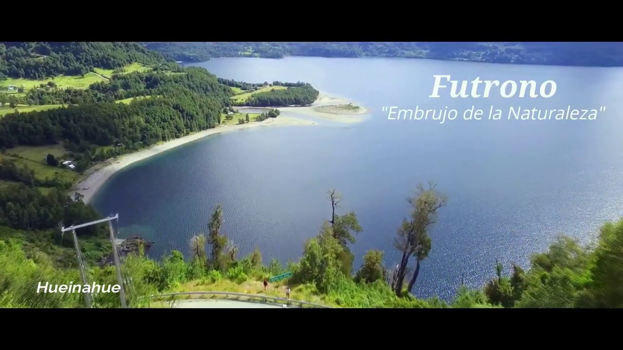 FUTRONO EMBRUJO DE LA NATURALEZA