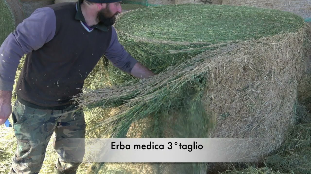 #Essiccatoio 48 #balloni #AgriCompact 4.0 - Erba Medica - Az. Cabrini-(MN) Parmigiano Reggiano DOP