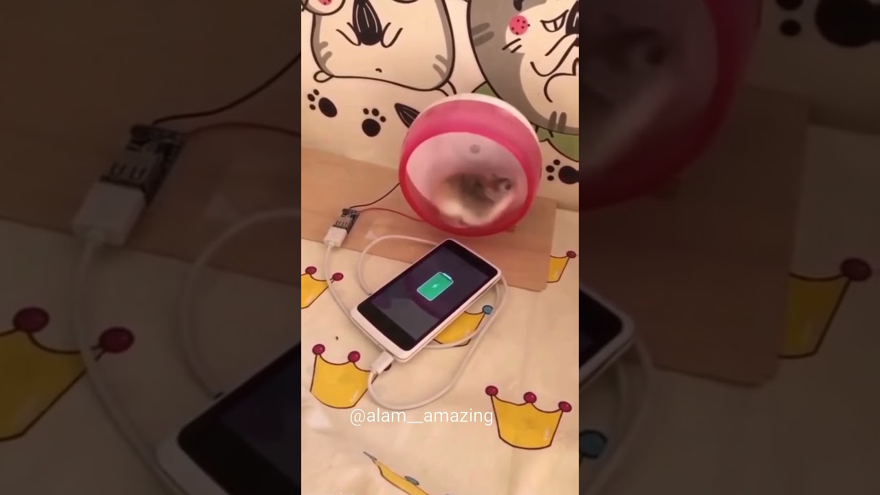 Like a Boss Compilation!Amazing people 2021 #likeaboss #respect #puvideo