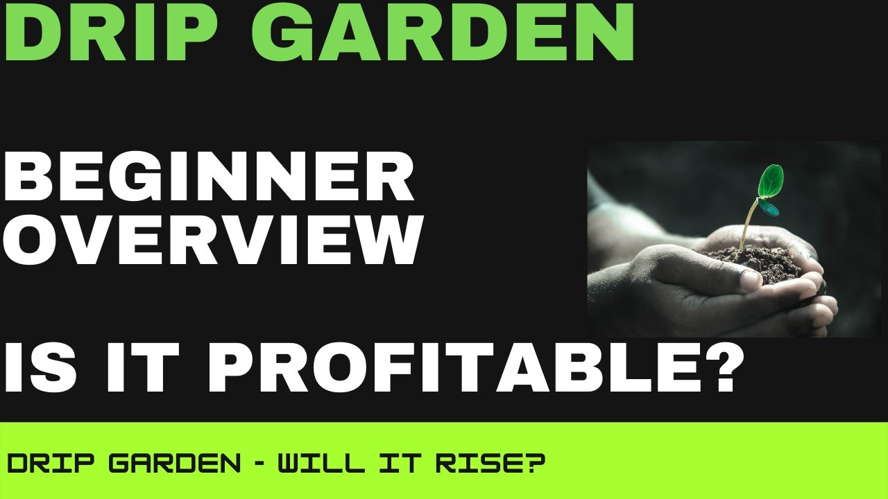DRIP Garden - Beginner Overview - Can It Make Money and How Does It Work?