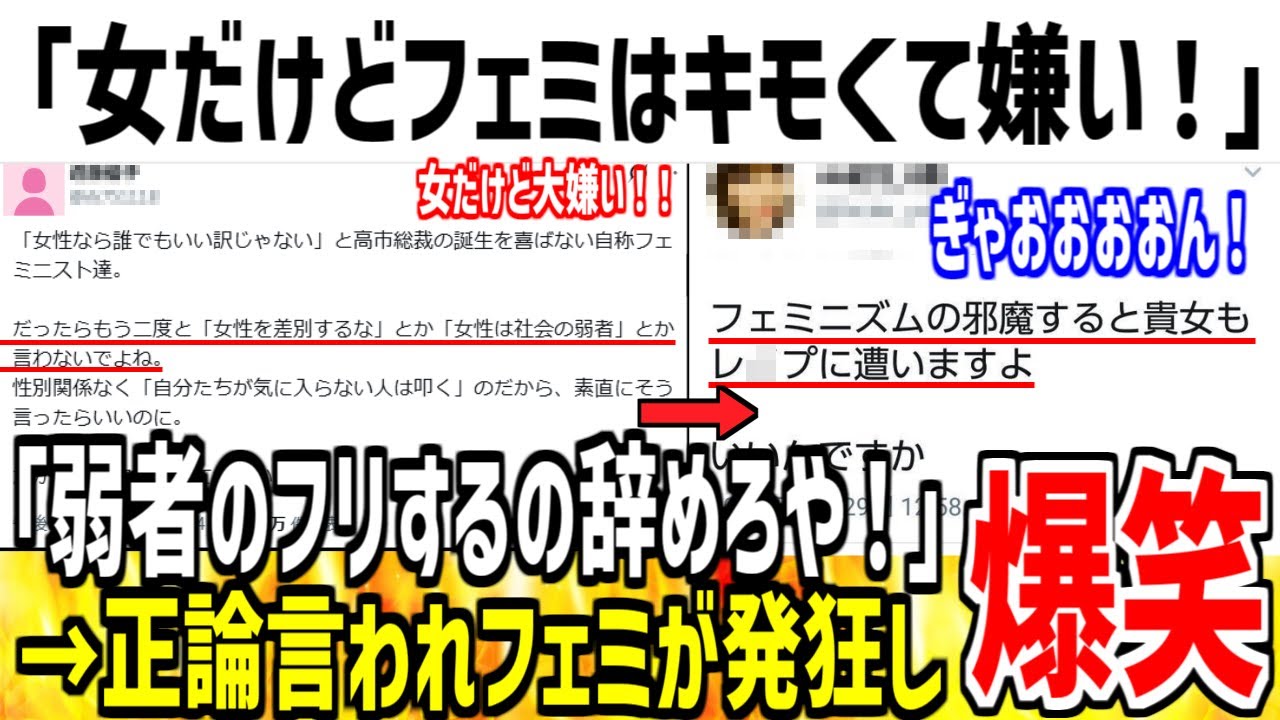 【フェミ発狂】X女性「女だけどツイフェミはキモくて嫌いです。」➡︎フェミ集団「ぎゃおおおおん！」【ゆっくり解説】