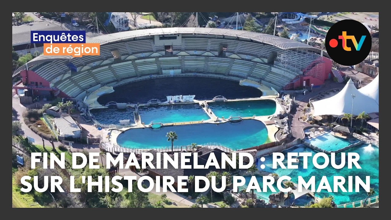Fermeture de Marineland : retour sur l'histoire de ce parc marin qui a marqué plusieurs générations
