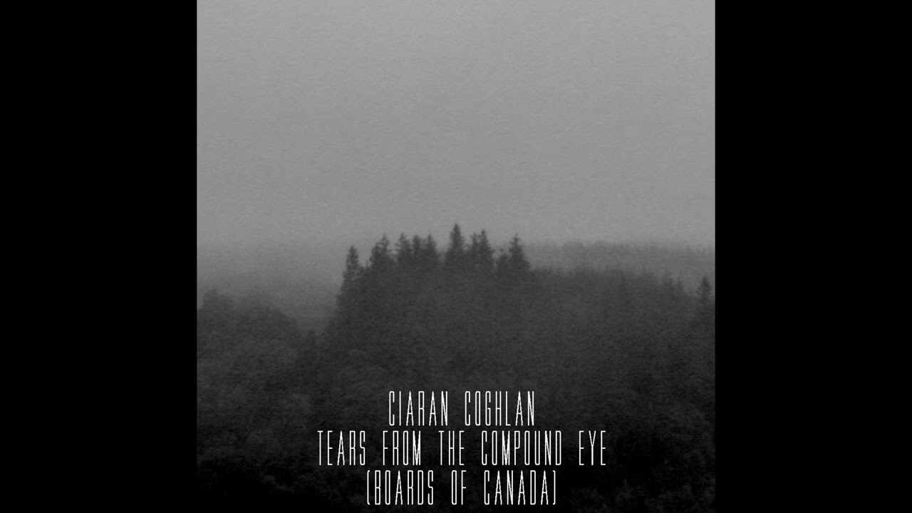 Ciaran Coghlan - Tears From The Compound Eye (Boards of Canada) Post-metal cover