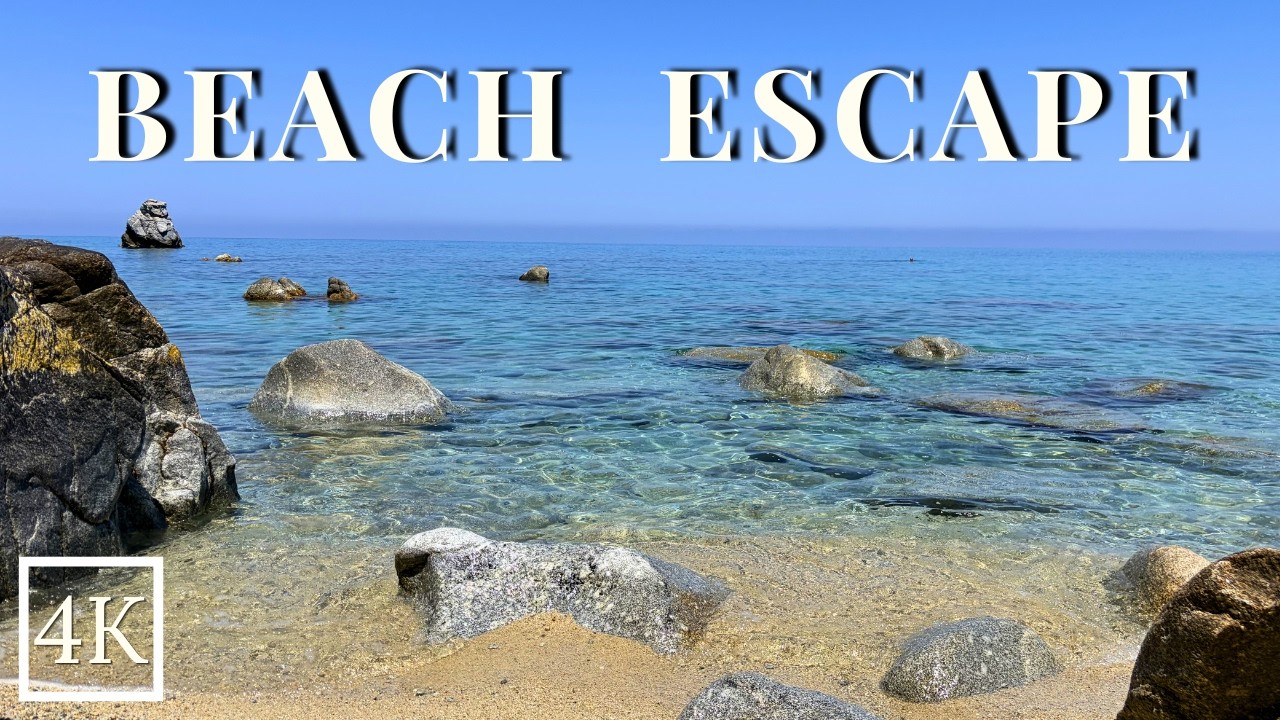 Real Beach Ambience 🌊 Mediterranean Waves, Birdsong & Distant Beach Voices (No Music)