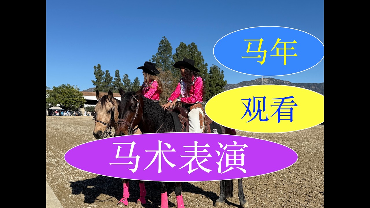 Watching equestrian performances in the Year of the Horse | 马年观看马术表演|#lunar New Year |#performance|
