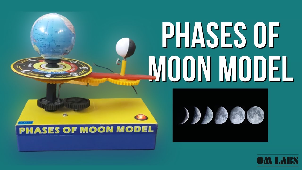 Phases of Model, Geography Model, Different Phases of moon By: OM Labs