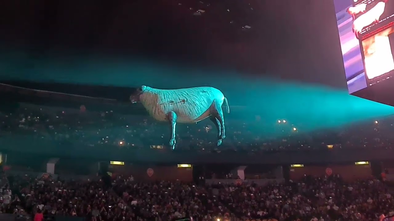 Roger Waters - Sheep (En Vivo CDMX 2022)