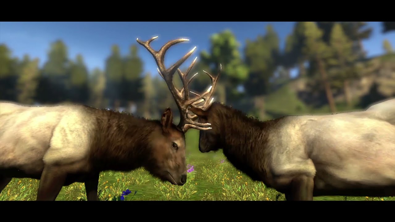 Cabela's Outdoor Adventures 2009 - Idaho (Part 2)