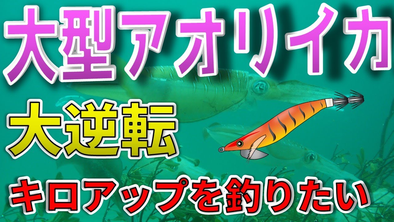【大型アオリイカの極意】キロアップの春イカを釣る方法14選