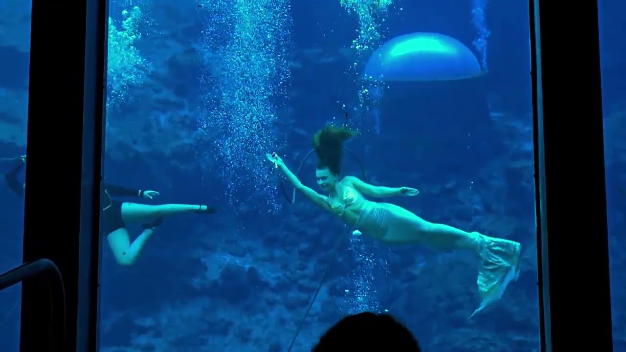 First Visit to the Weeki Wachee Mermaids (Weeki Wachee Florida)