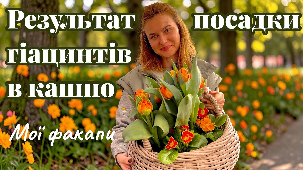 Провали в садівництві 🫣 #реаліїсадівництва #садзнуля #garden #садовийблог