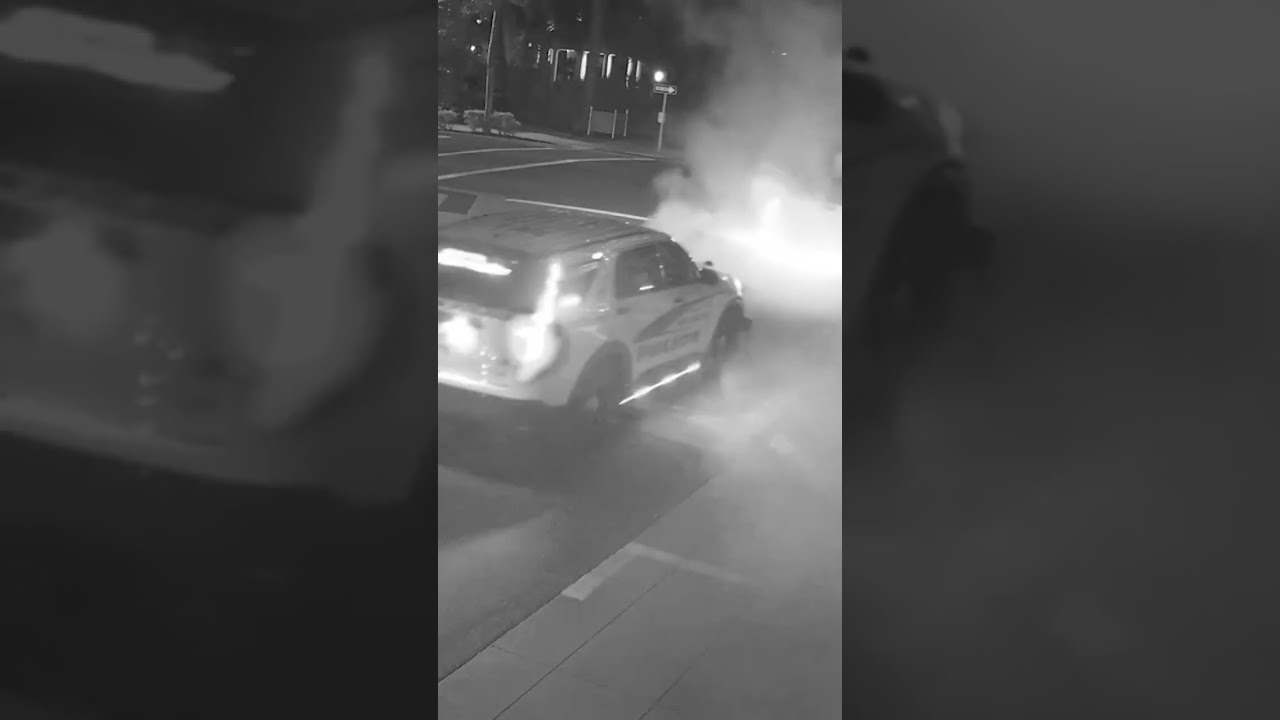 DUI driver arrested after doing burnout 'to impress girls' at red light in Bradenton: police