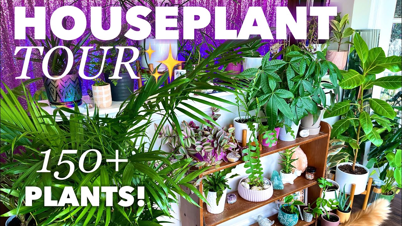 Apartment HOUSEPLANT TOUR🤩💖🪴💫 150+ plants✨✨✨