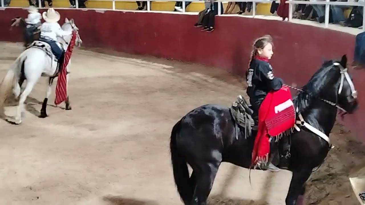 Pequeños Titanes ❗📌 plaza de toros el imperio 
