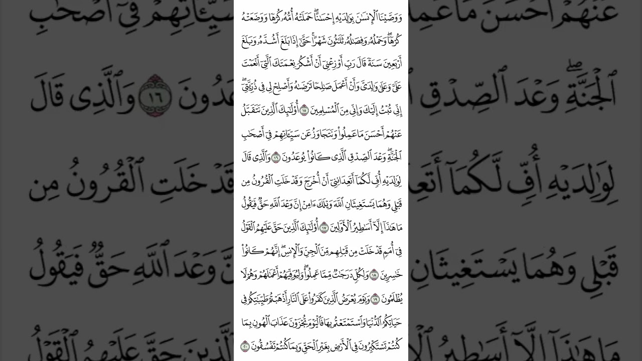 سورة الأحقاف كاملة للقارئ آدم عبدالله السالم