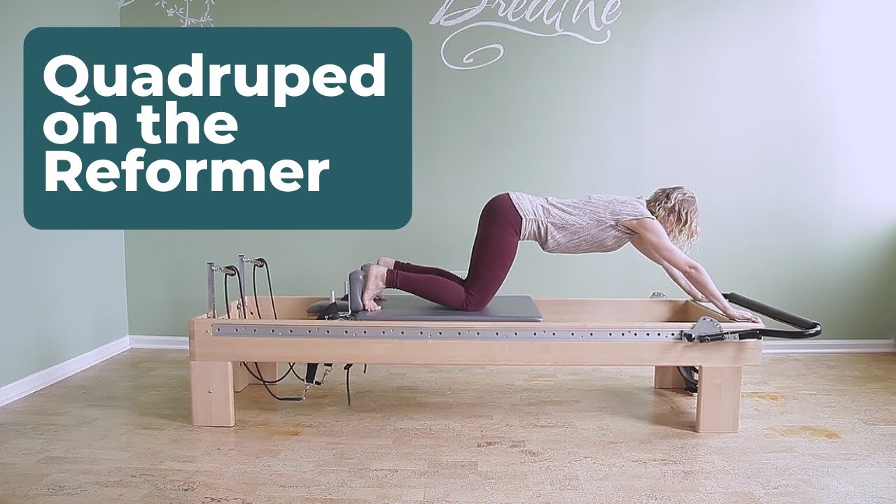 Quadruped on the Reformer ⎮Pilates Encyclopedia