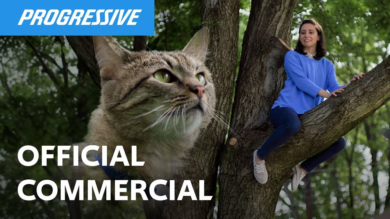 Who's A Good Owner? | Cat | Progressive Insurance Commercial