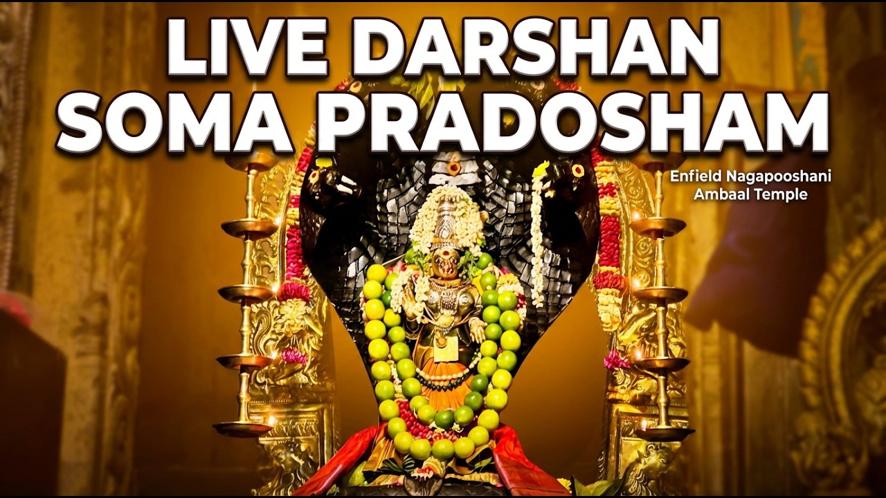 🔴 LIVE Darshan | Soma Pradosham |  Enfield Nagapooshani Ambaal Temple|16/03/2026