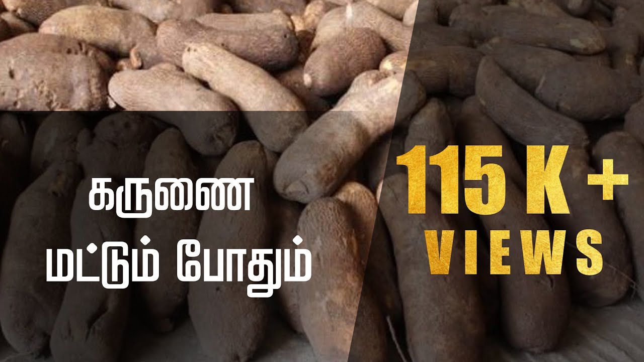 வாத உடலை பற்றி அறிவோம்! |  Vatha | What is Vadham?