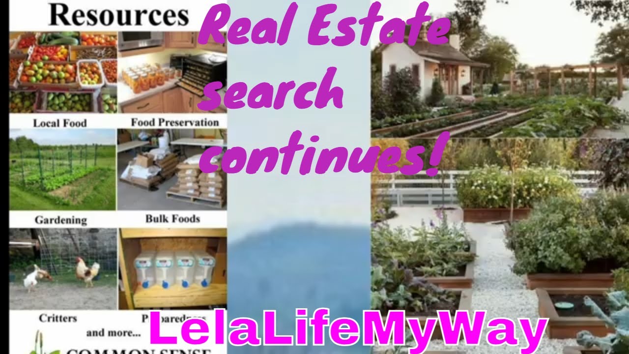 On the hunt to find home in WNC or North Georgia mountains