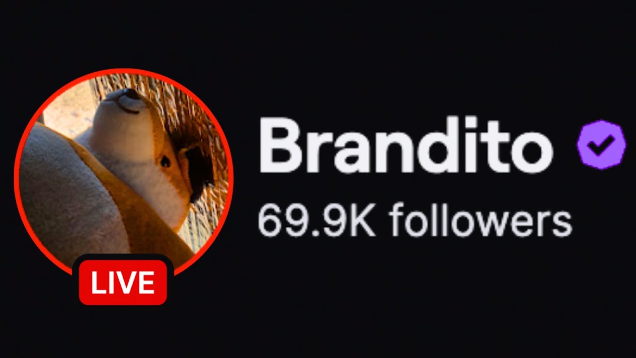The Rise and Fall of Brandito