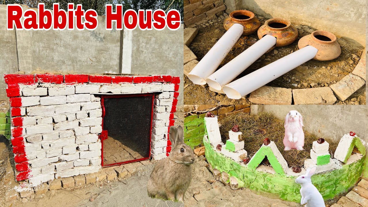 Rabbits House Unique Ideas | How To Make Rabbits House Using Bricks 🧱 | ​⁠@Dehatistan دیہاتستان