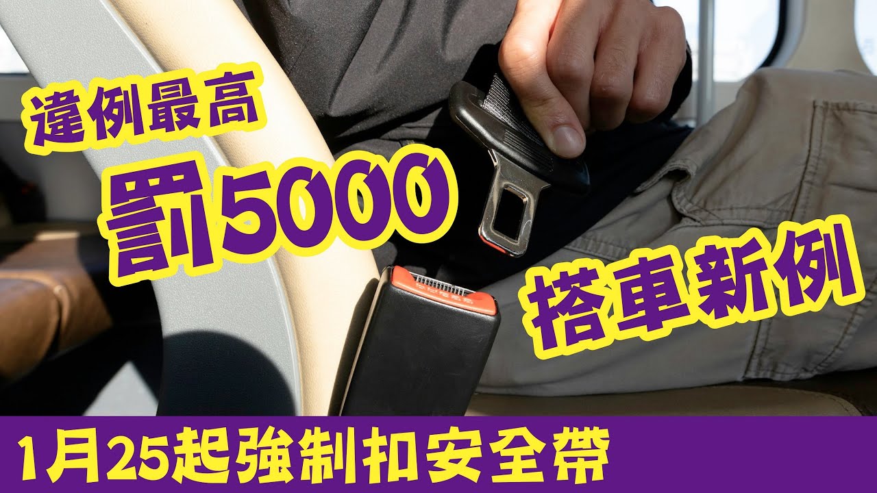 搭車新例！1月25起巴士校巴直通巴強制扣安全帶，違例最高罰5000元全解釋 #廣東話 #熱門 #安全帶