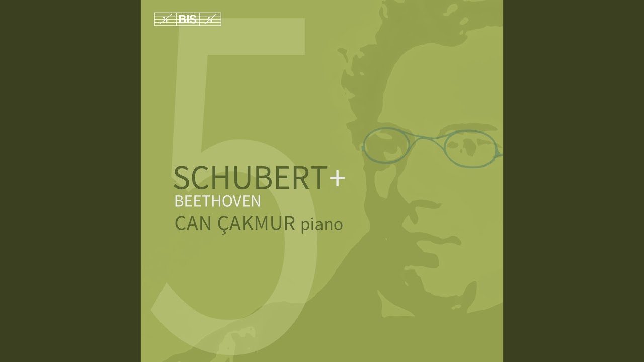 Piano Sonata in A Major, D. 664: III. Allegro