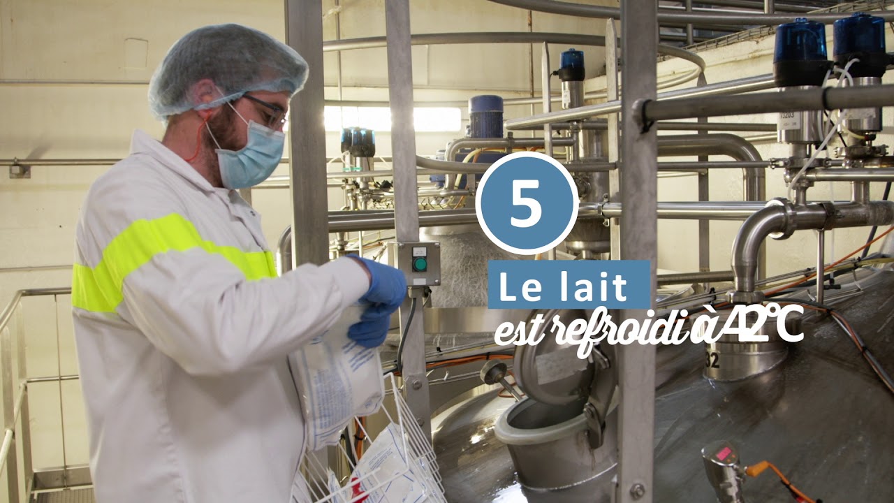 fabrication du yaourt chez yéO frais