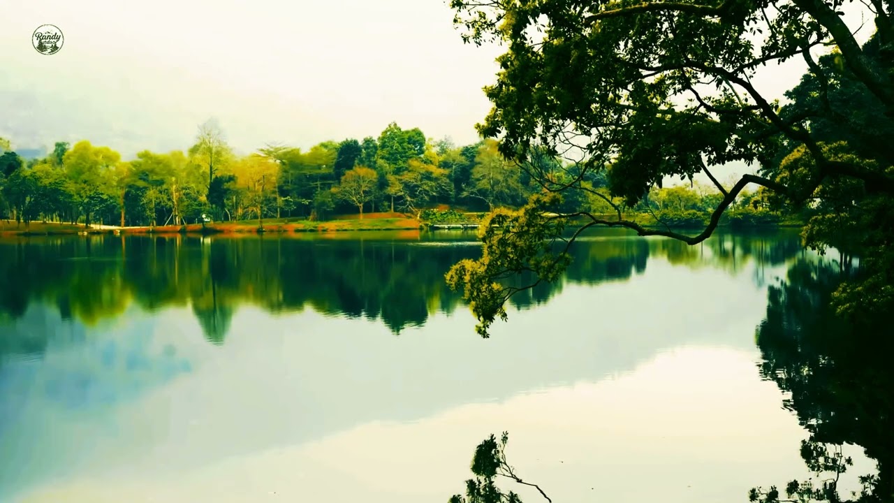 8K Relaxing nature water sounds at River singing birds 5hrs outdoor
