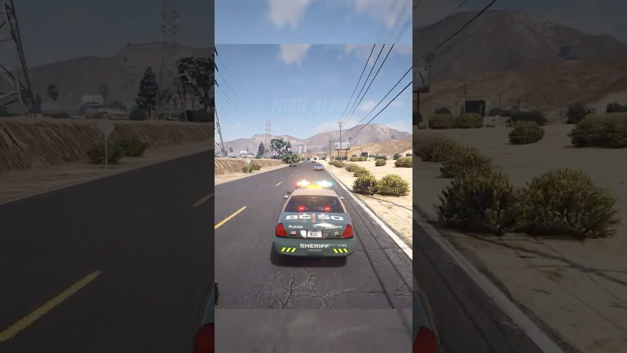 oopsies... #fivem #harp #gta5rp #highalertrp