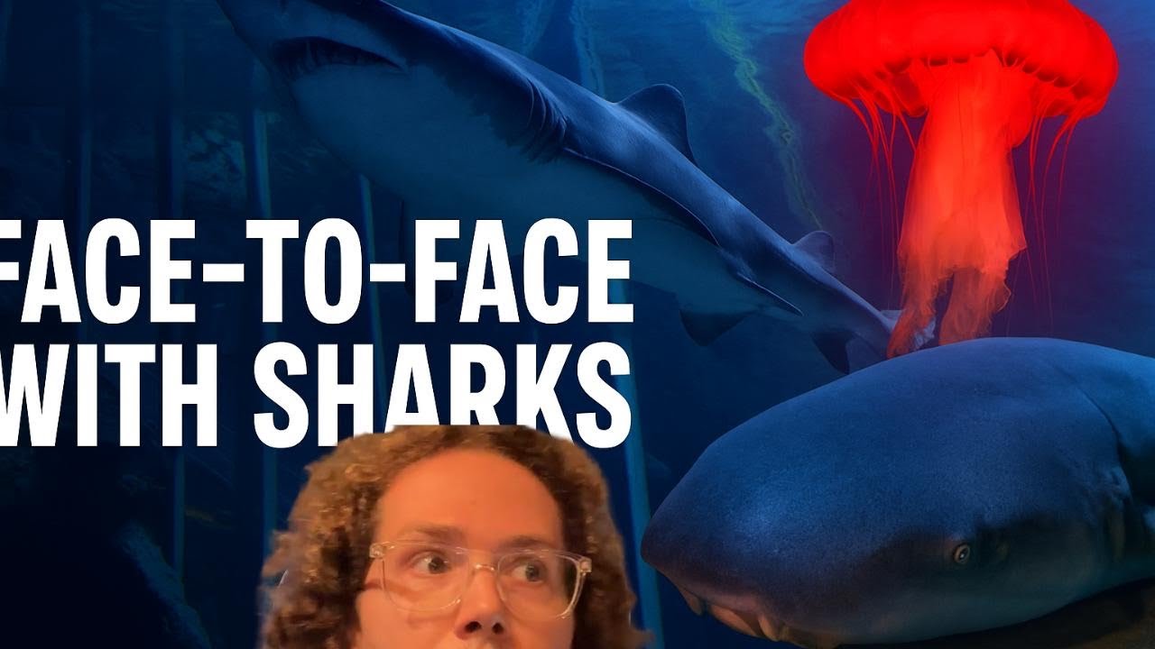 Malaysia’s Underwater World 🦈 | Solo Travel at Aquaria KLCC, Kuala Lumpur
