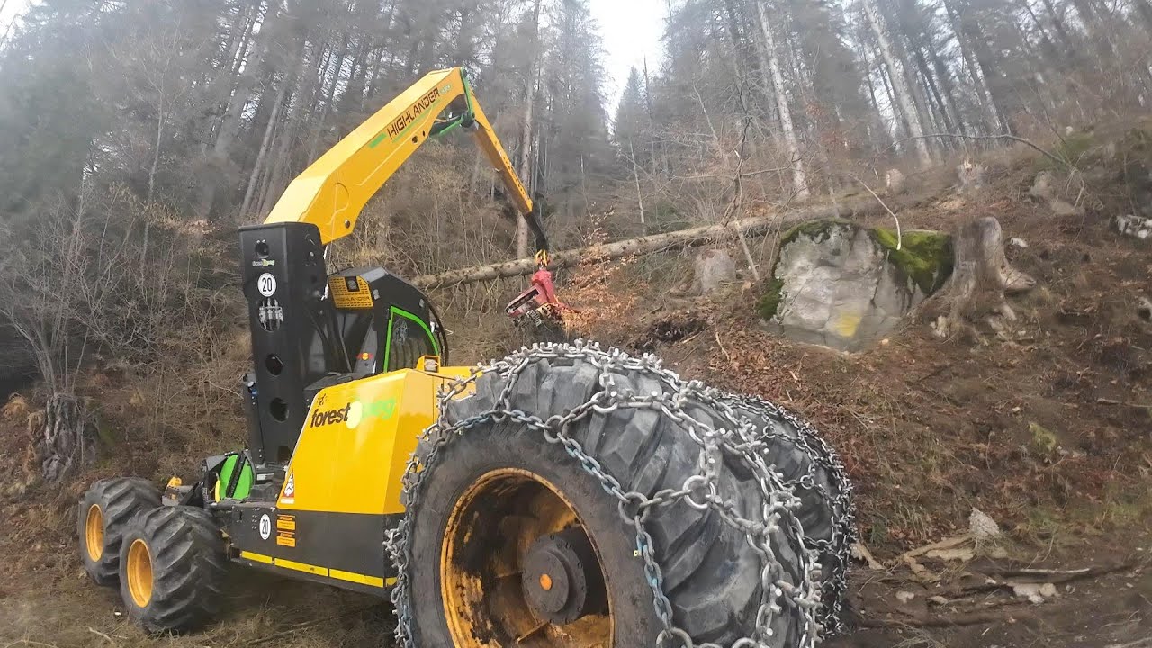 🌲 Forest Peg * Käfer - Starkholz / MS462 🌲 2 : #