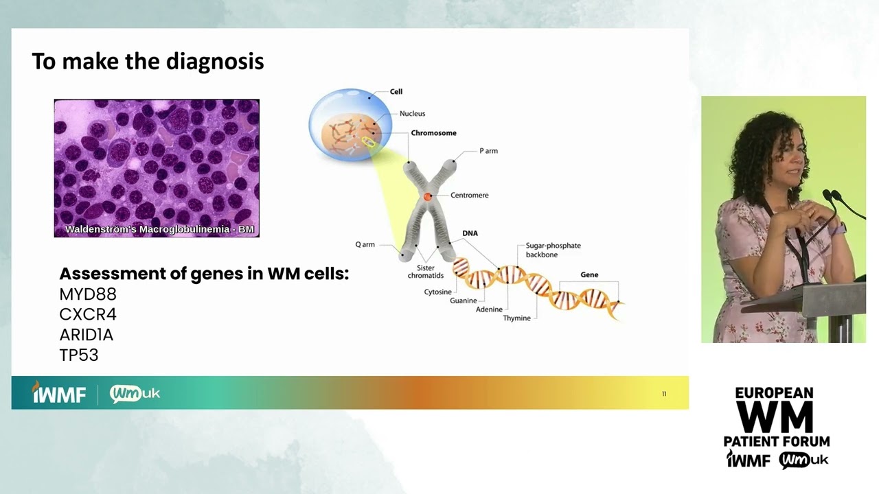 Introduction to Waldenstrom's macroglobulinaemia (WM) - European WM Patient Forum 2024