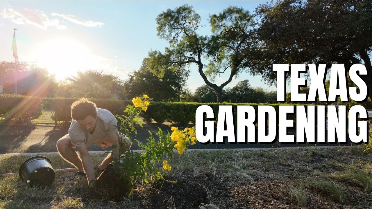 I Asked 3 Nursery Owners What Texans Get Wrong About Gardening