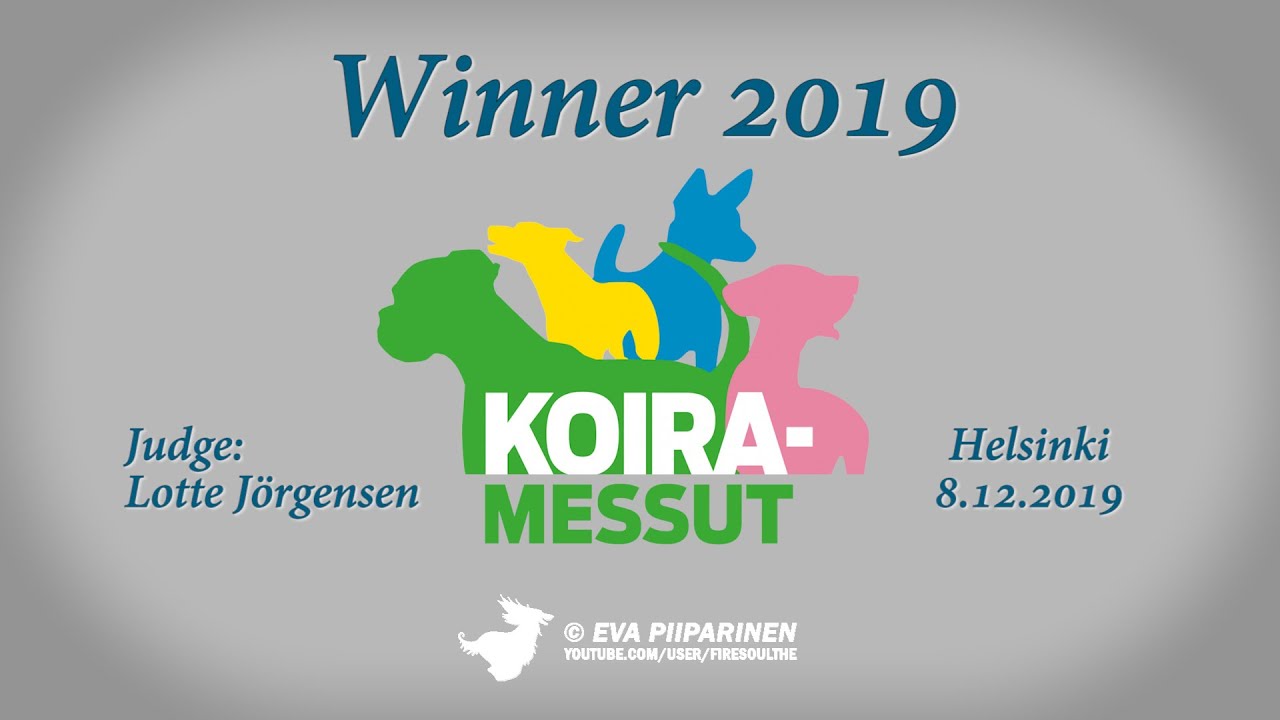 Winner-19  ► Afghan Hounds